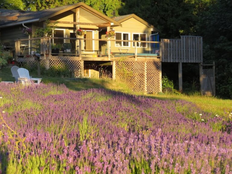 book-lovers-cottage-salt-spring book-lovers-cottage-salt-spring