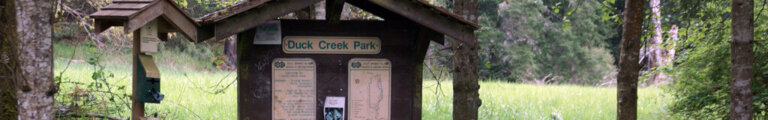 duckcreek1