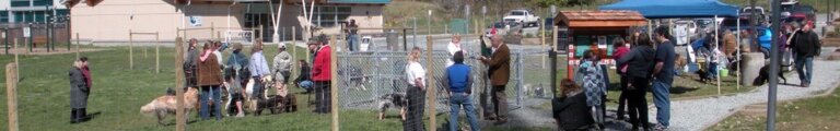 rr-dogpark